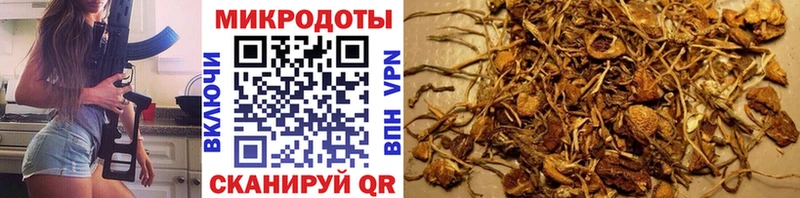 где можно купить наркотик  блэк спрут   Псилоцибиновые грибы Cubensis  Алексин 